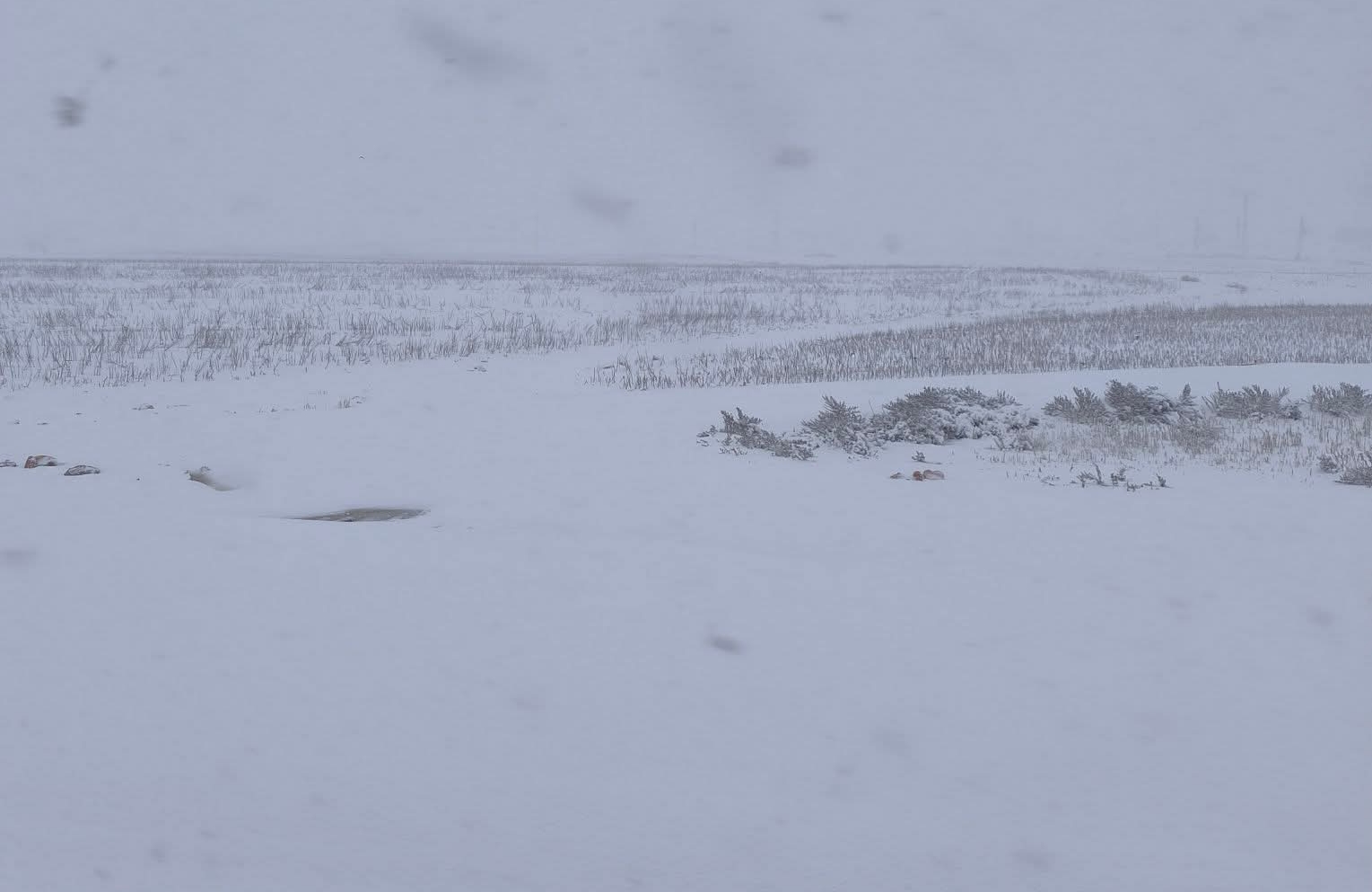 Akdeniz Bölgesi için “Yılbaşı” uyarısı: Hatay’a sağanak, Maraş’a yoğun kar geliyor!