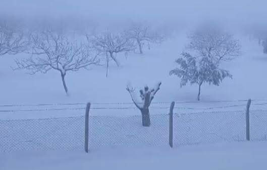 Güneydoğu Anadolu için kritik uyarı: Yılbaşında yoğun kar geliyor!