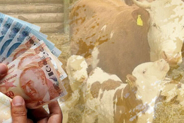 Bakan Yumaklı: 10,7 milyar TL tarımsal destek çiftçilerin hesaplarında