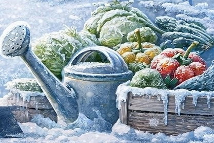 Kocaeli’de zirai don uyarısı: Çiftçiler dikkatli olmalı