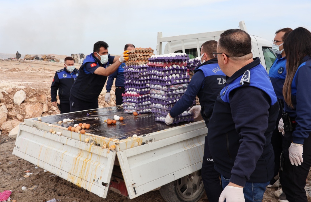 Şanlıurfa’da halk sağlığı denetimi: 5 bin koli yumurtaya el konuldu