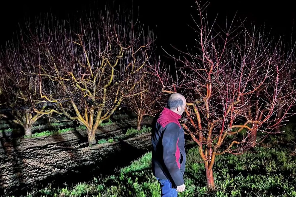 Zirai Don alarmı: Üreticilere kritik uyarı!