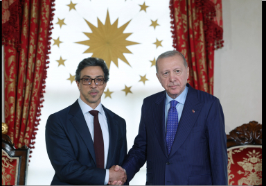 Cumhurbaşkanı Erdoğan, BAE Devlet Başkan Yardımcısı Şeyh Mansur’u kabul etti